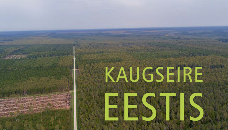 Droonivaade Eesti metsale