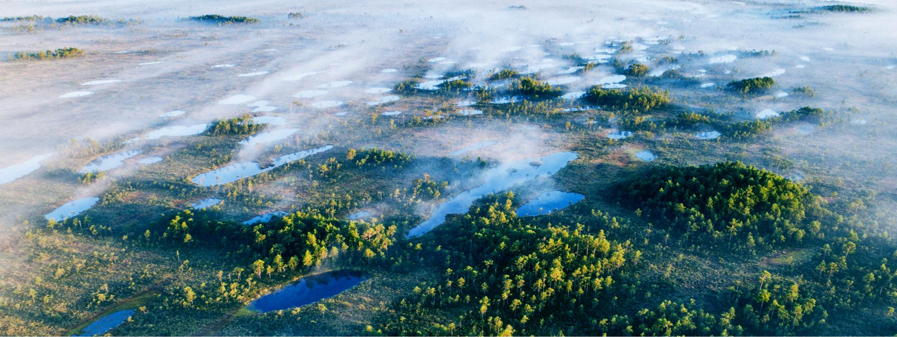 udused järved udused järved