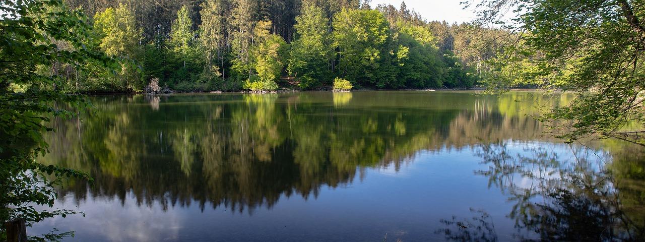 järveke metsas