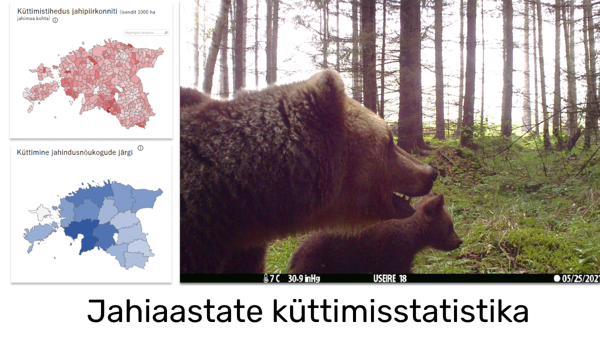 karu pojaga ja eesti kaaradid karu pojaga ja eesti kaaradid