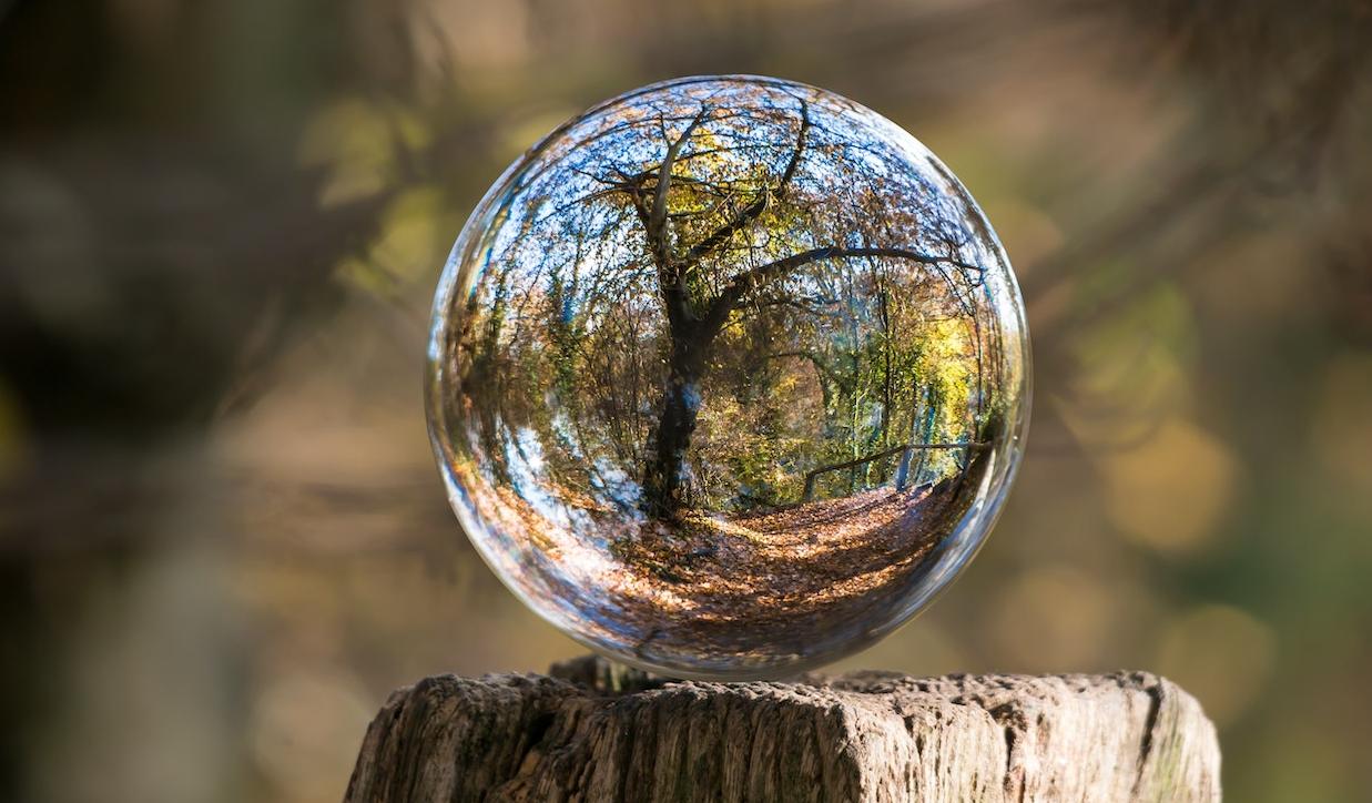 klaaskuul puupakul, millest peegeldub puu