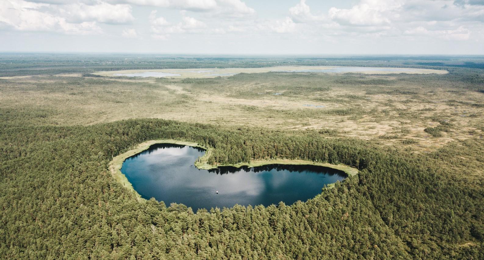 südamekujuline järv metsa sees