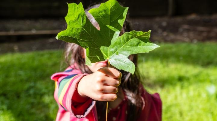 väike tüdruk rohelise vahtralehega