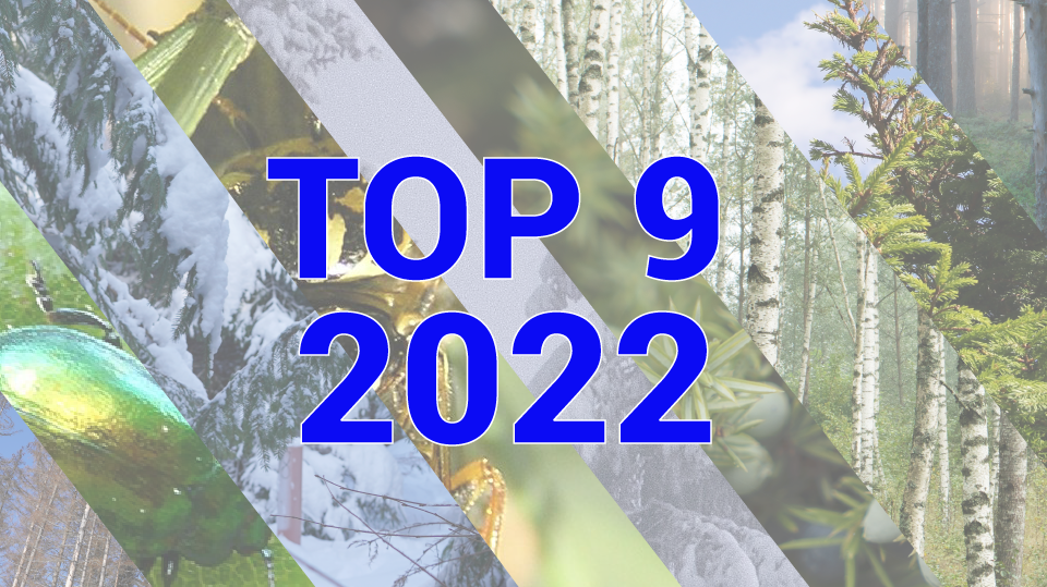 visuaal tekstiga top 9 2022 visuaal tekstiga top 9 2022