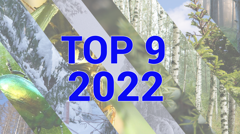 visuaal tekstiga top 9 2022