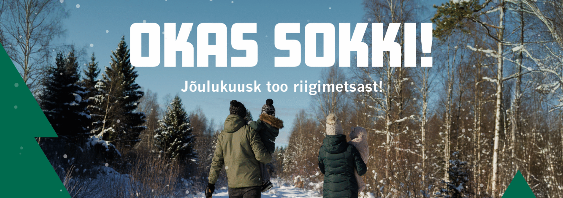 Perekond metsast jõulupuud toomas