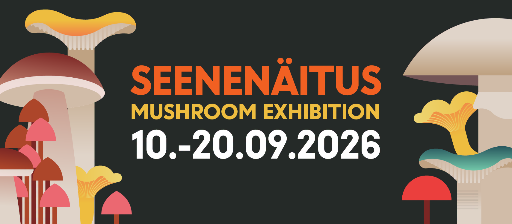 Seenenäituse plakat