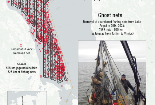 Kummitusvõrgud kaardil