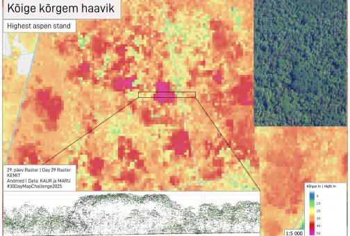 Kõrgeim haavik kaardil