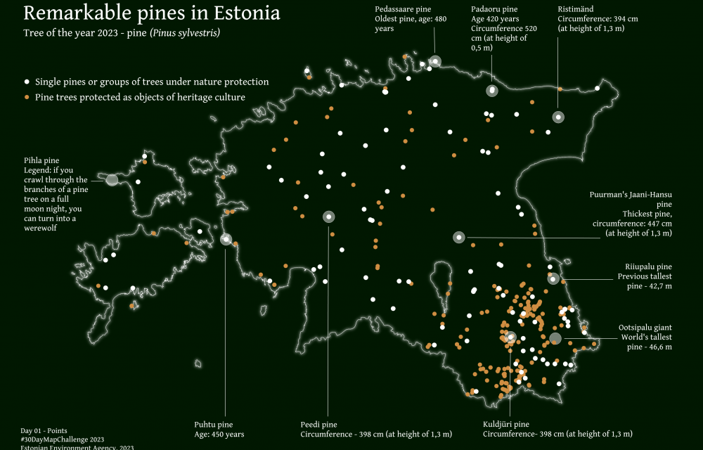 Erilised männid Eestis